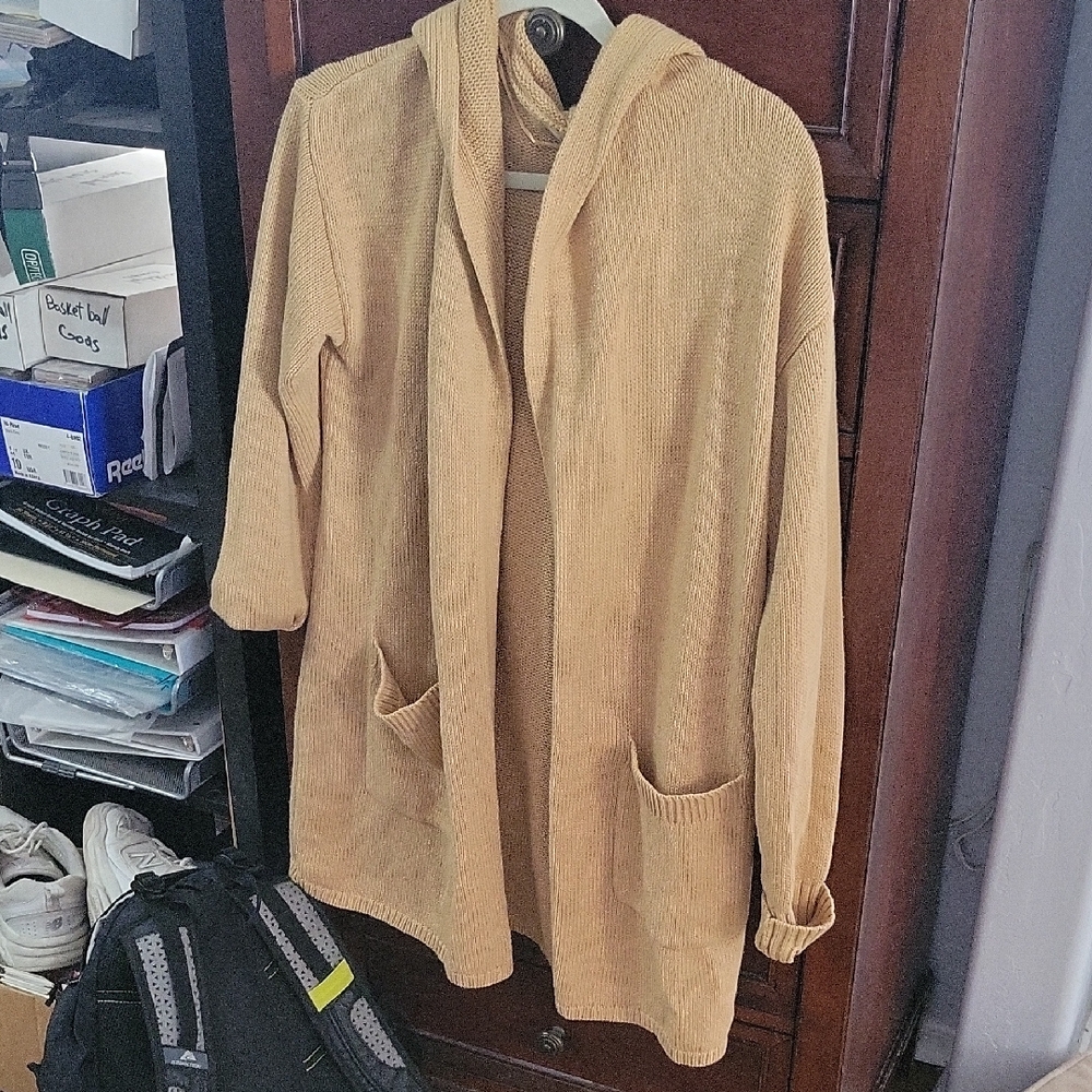 Cozy Tan Hooded Sweater
